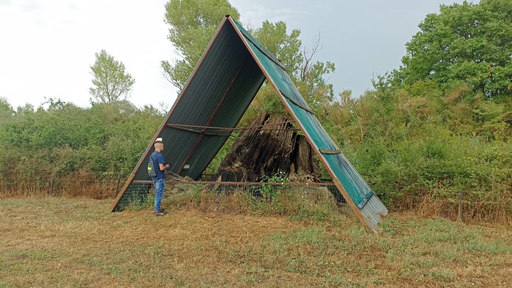 Foresta fossile di Dunarobba - Foto Tatiana Marras