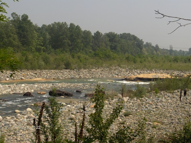 Foresta fossile Stura di Lanzo - Foto Tapion - Wikimedia Commons, CC BY-SA 3.0