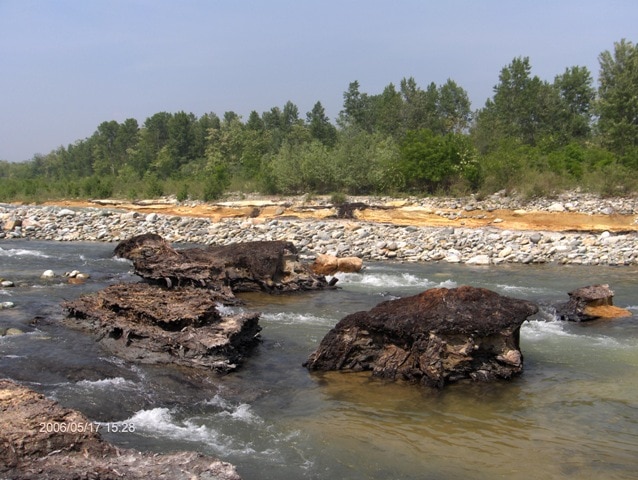 Foresta fossile Stura di Lanzo - Foto Tapion - Wikimedia Commons, CC BY-SA 3.0