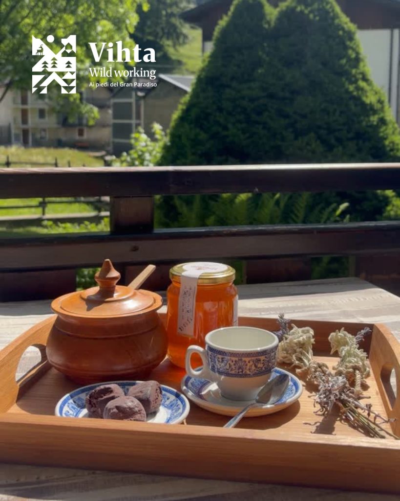 Progetto VIHTA