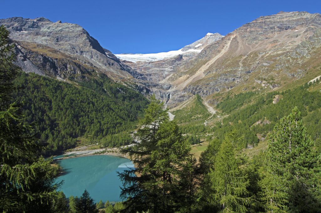 @Livio Piatta