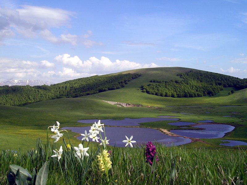 Pantani di Accumoli. Foto Salviamo L