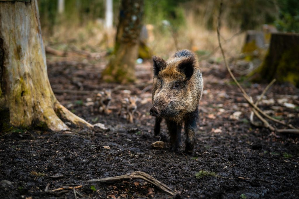 Foto di Patrick Pahlke su Unsplash